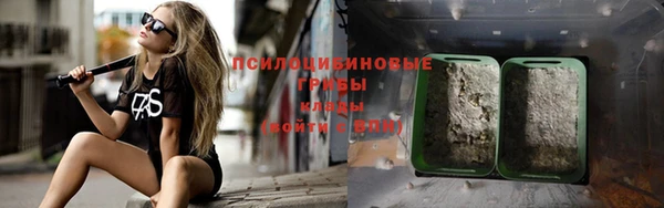 spice Алексеевка