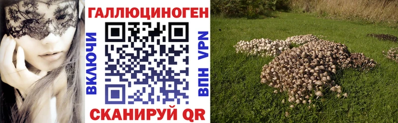 Галлюциногенные грибы мухоморы  omg как зайти  Гдов 